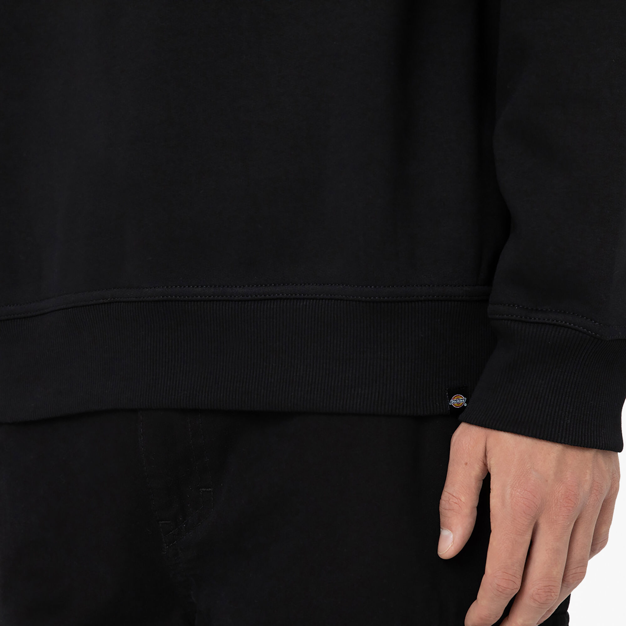 Garden Plain Graphic Sweatshirt