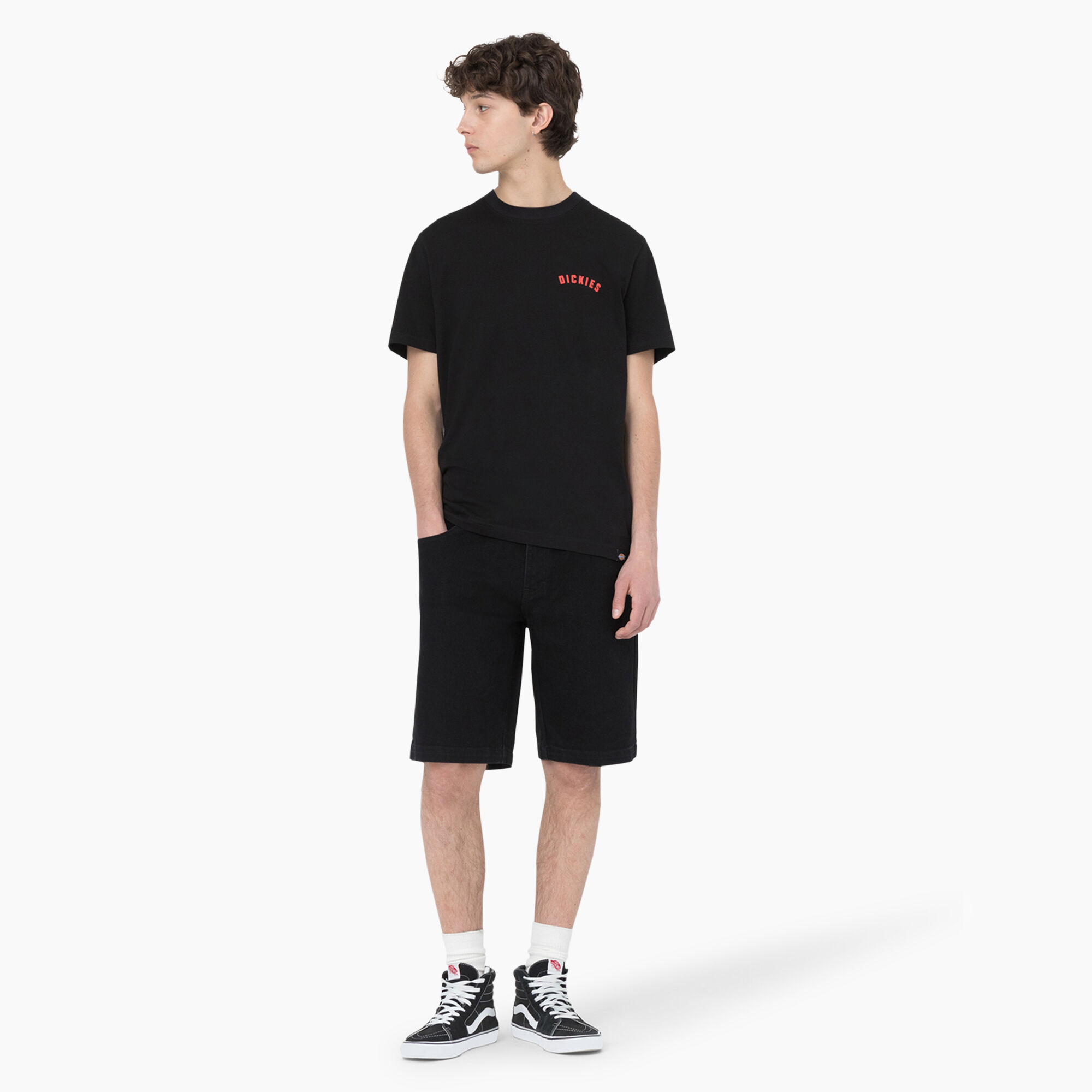 Dickies Skateboarding Loose Fit Wingville Shorts, 11