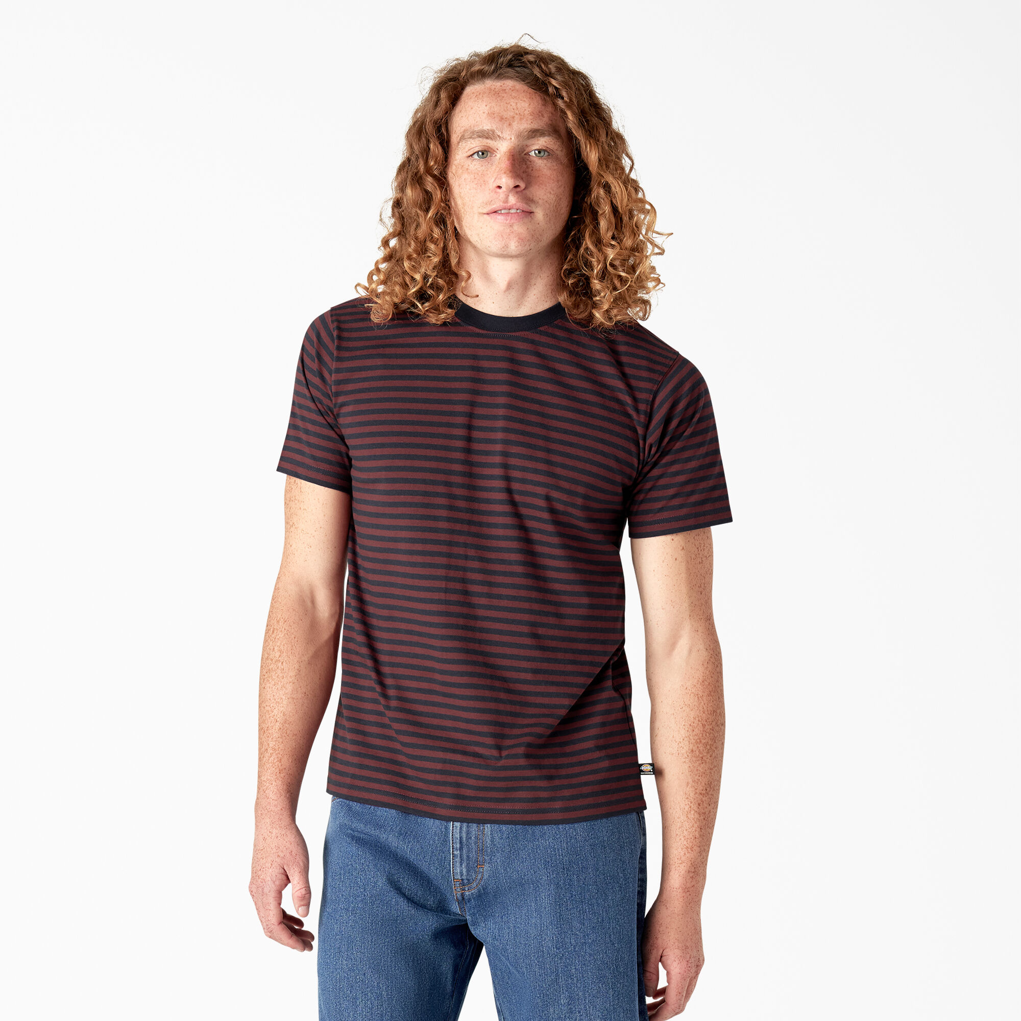 Dickies Skateboarding Striped T-Shirt
