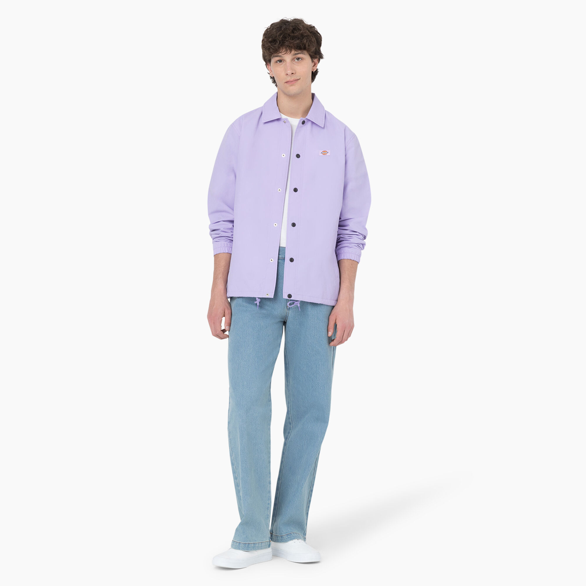 Dickies Skateboarding Wingville Loose Jeans