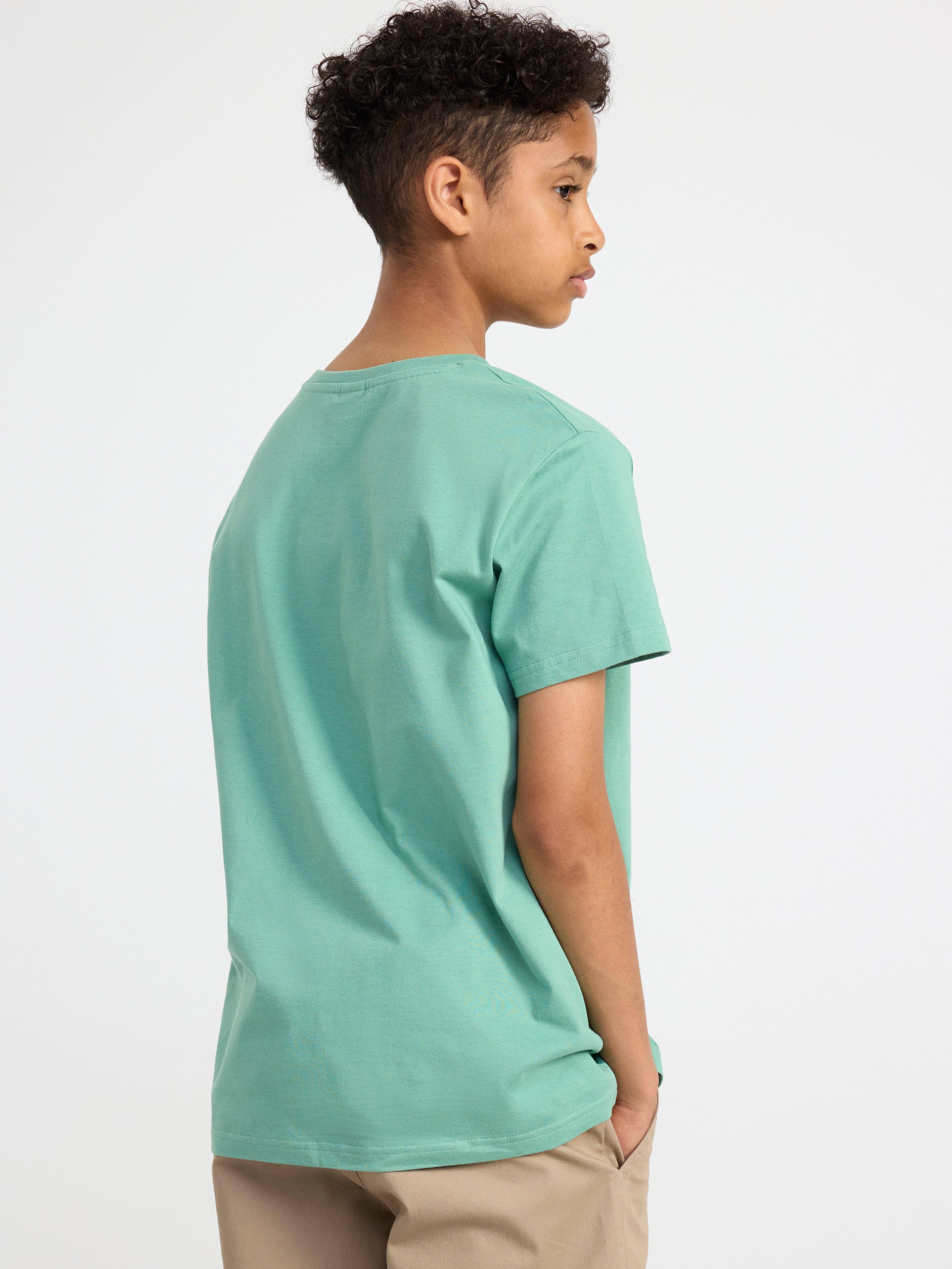 T-shirt with print Dusty Green