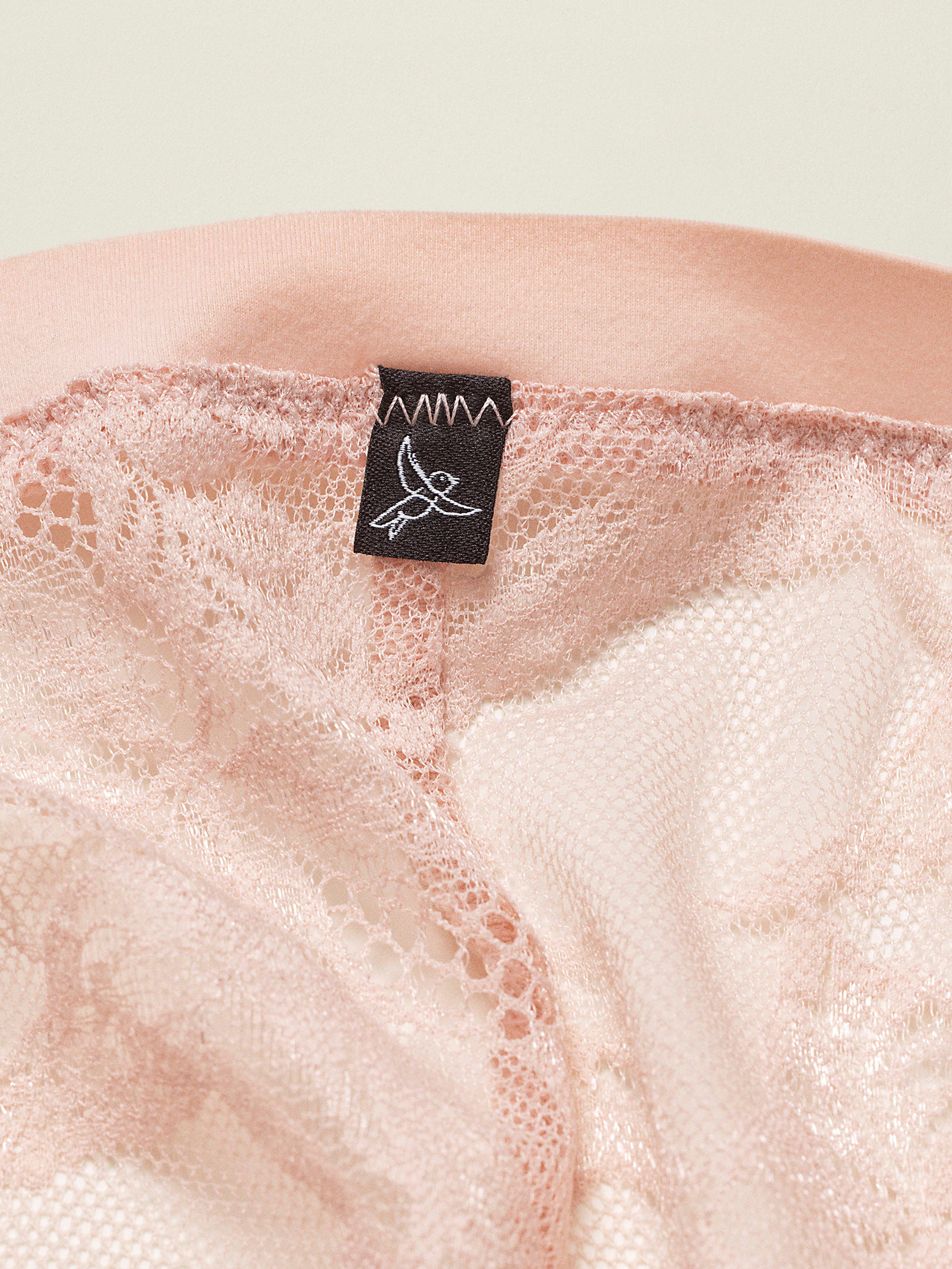 Closely - The Bird Thong Dusty Pink