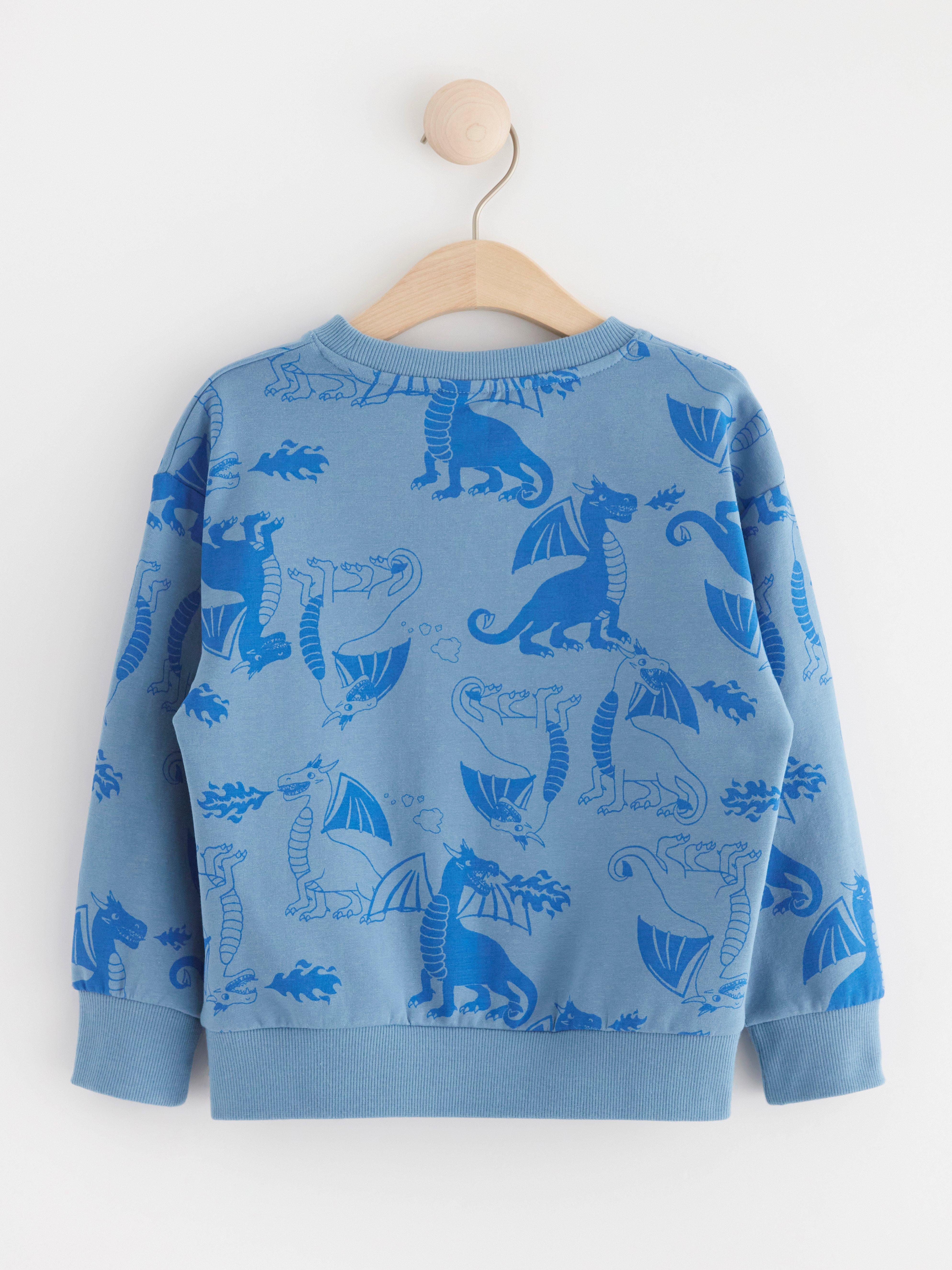 Sweatshirt brushed inside with dragons Light Dusty Blue