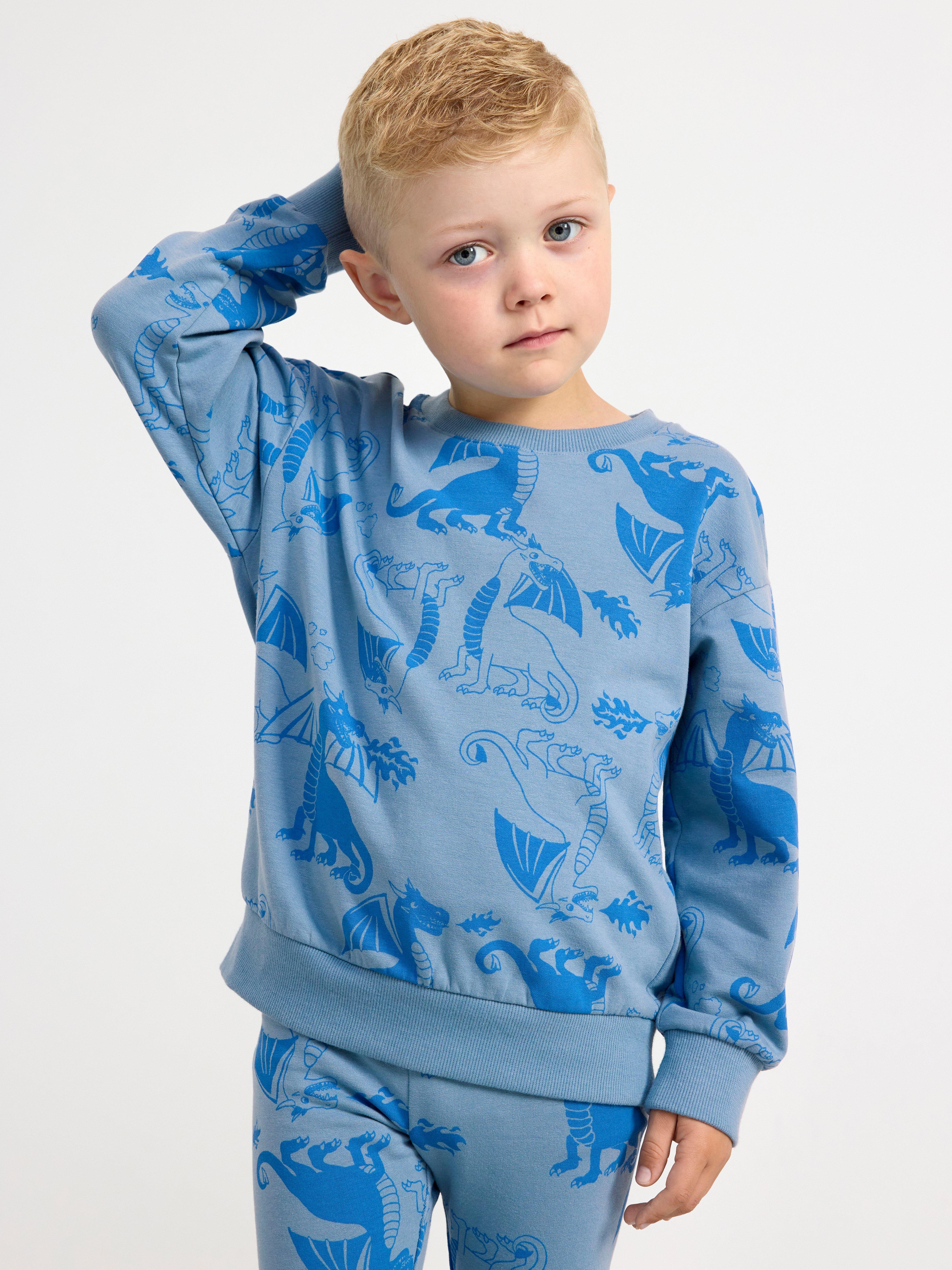 Sweatshirt brushed inside with dragons Light Dusty Blue