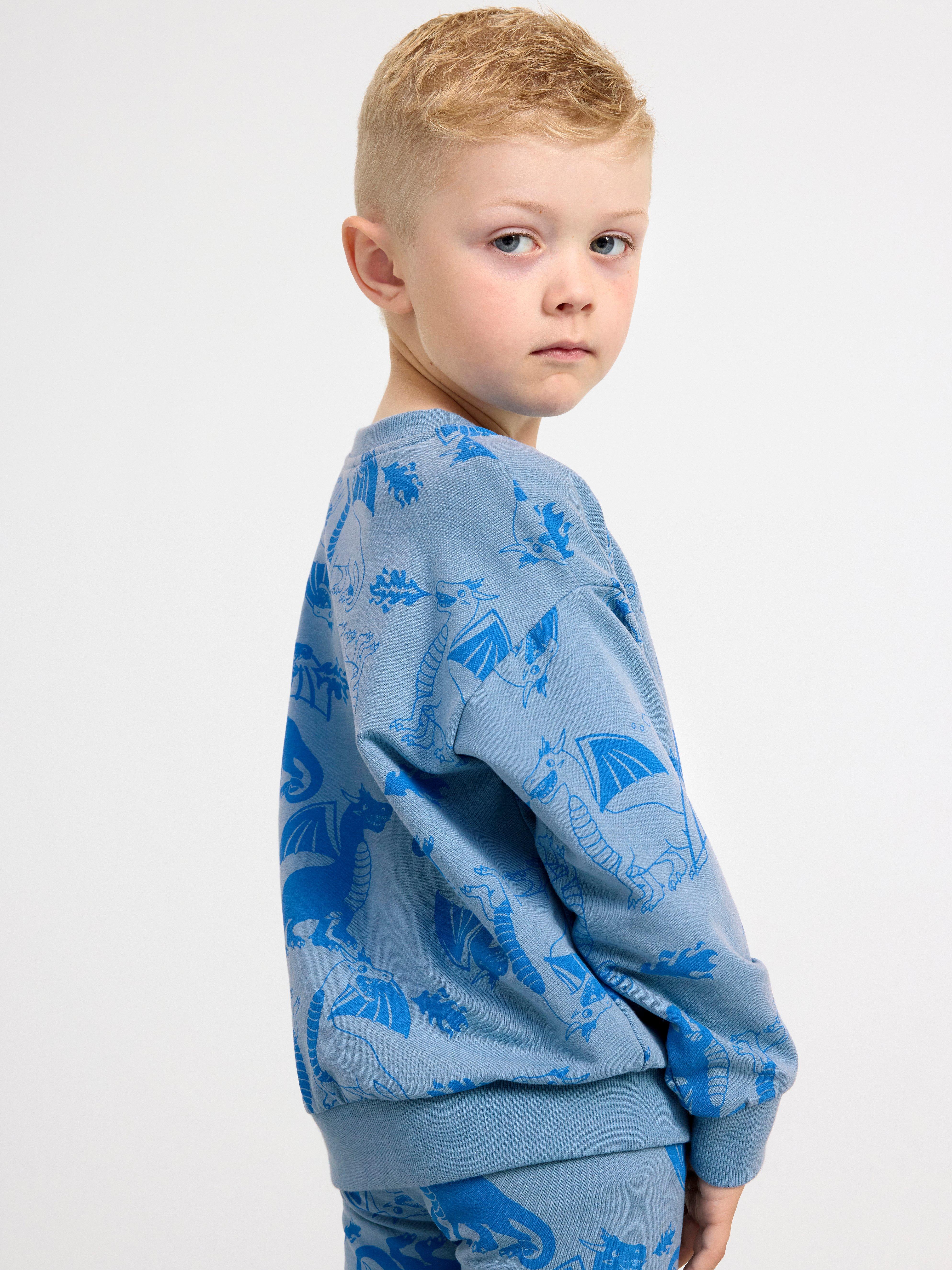 Sweatshirt brushed inside with dragons Light Dusty Blue