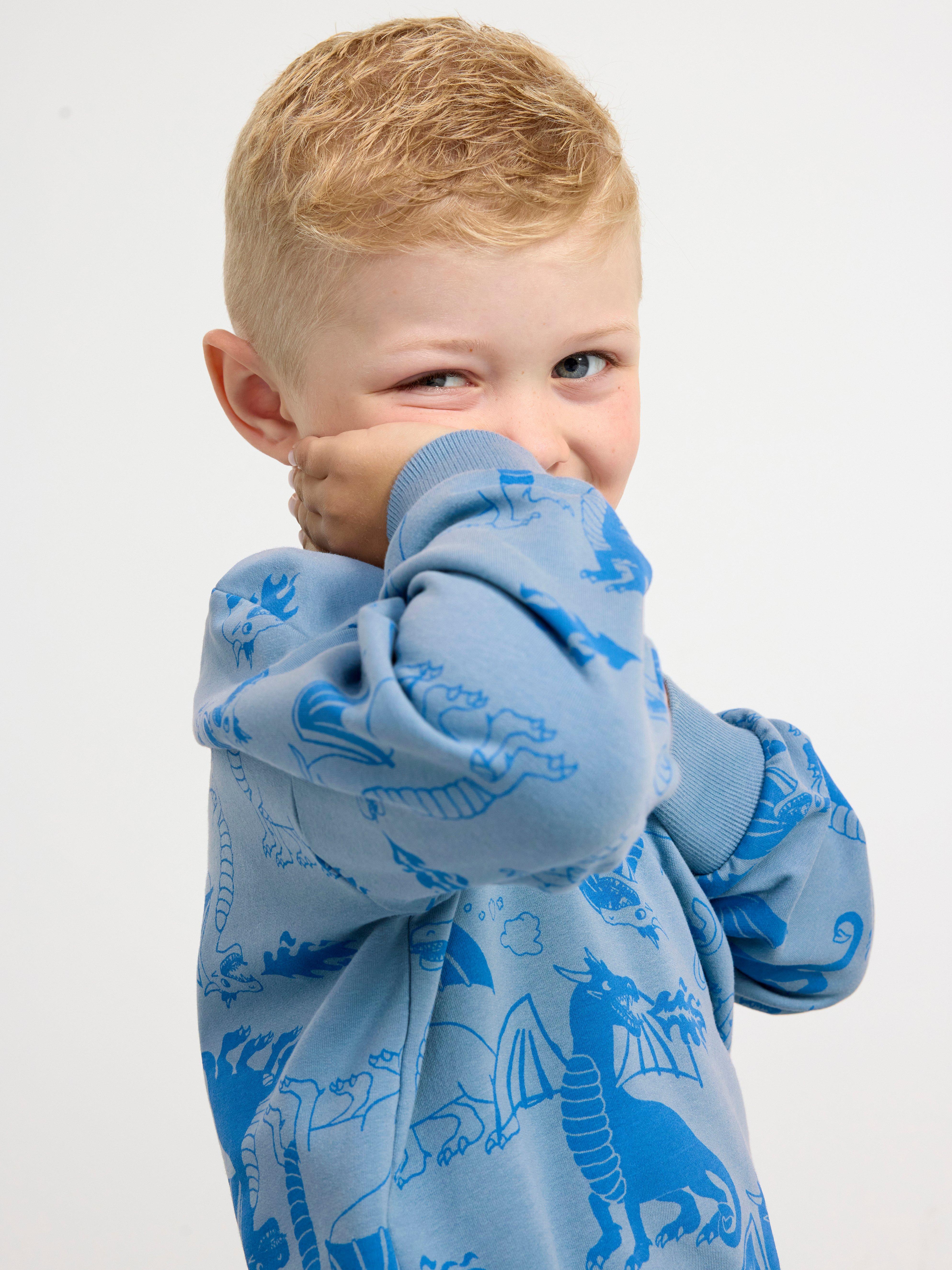 Sweatshirt brushed inside with dragons Light Dusty Blue
