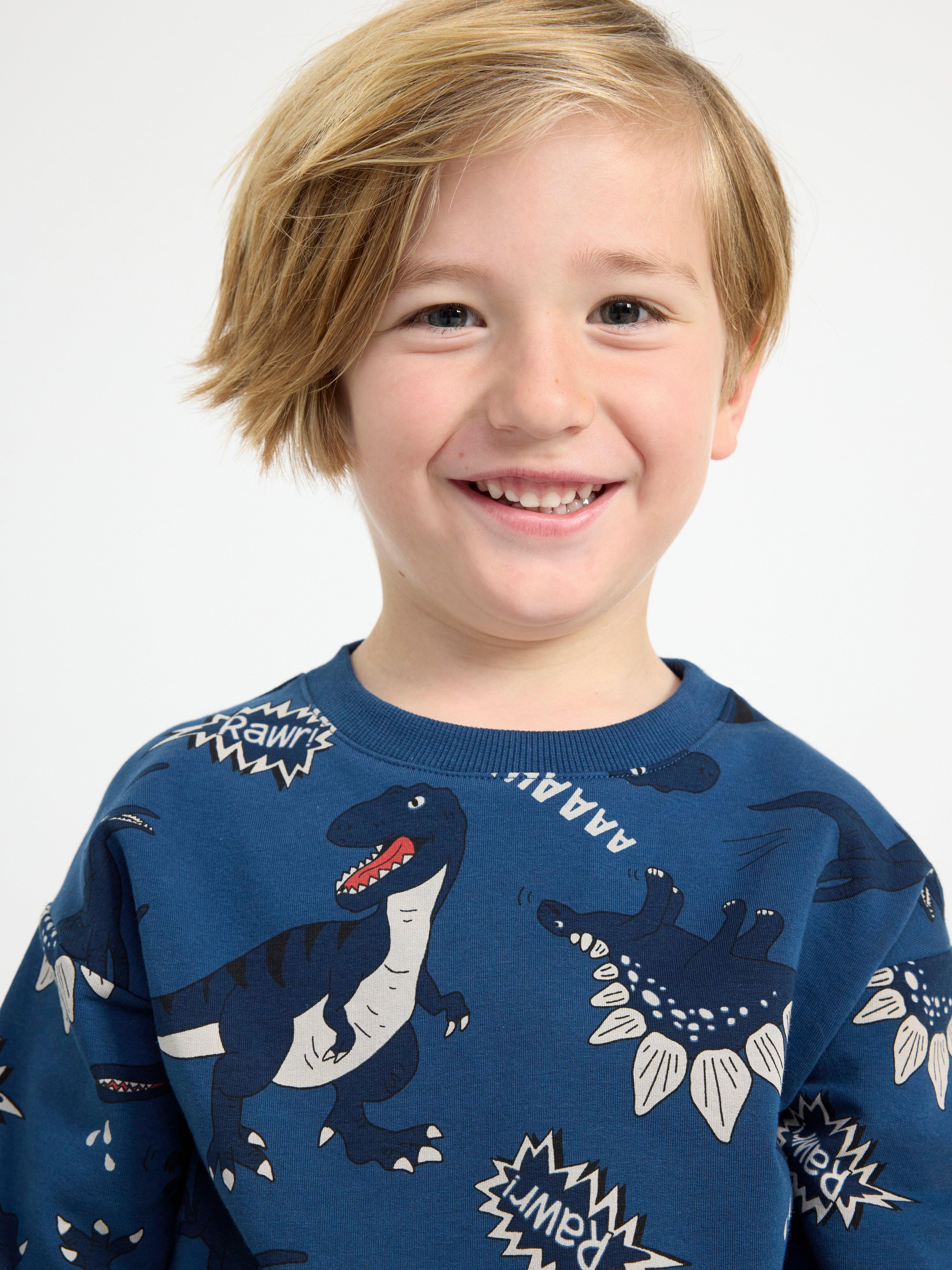 Sweatshirt with dinosaurs Dark Dusty Blue