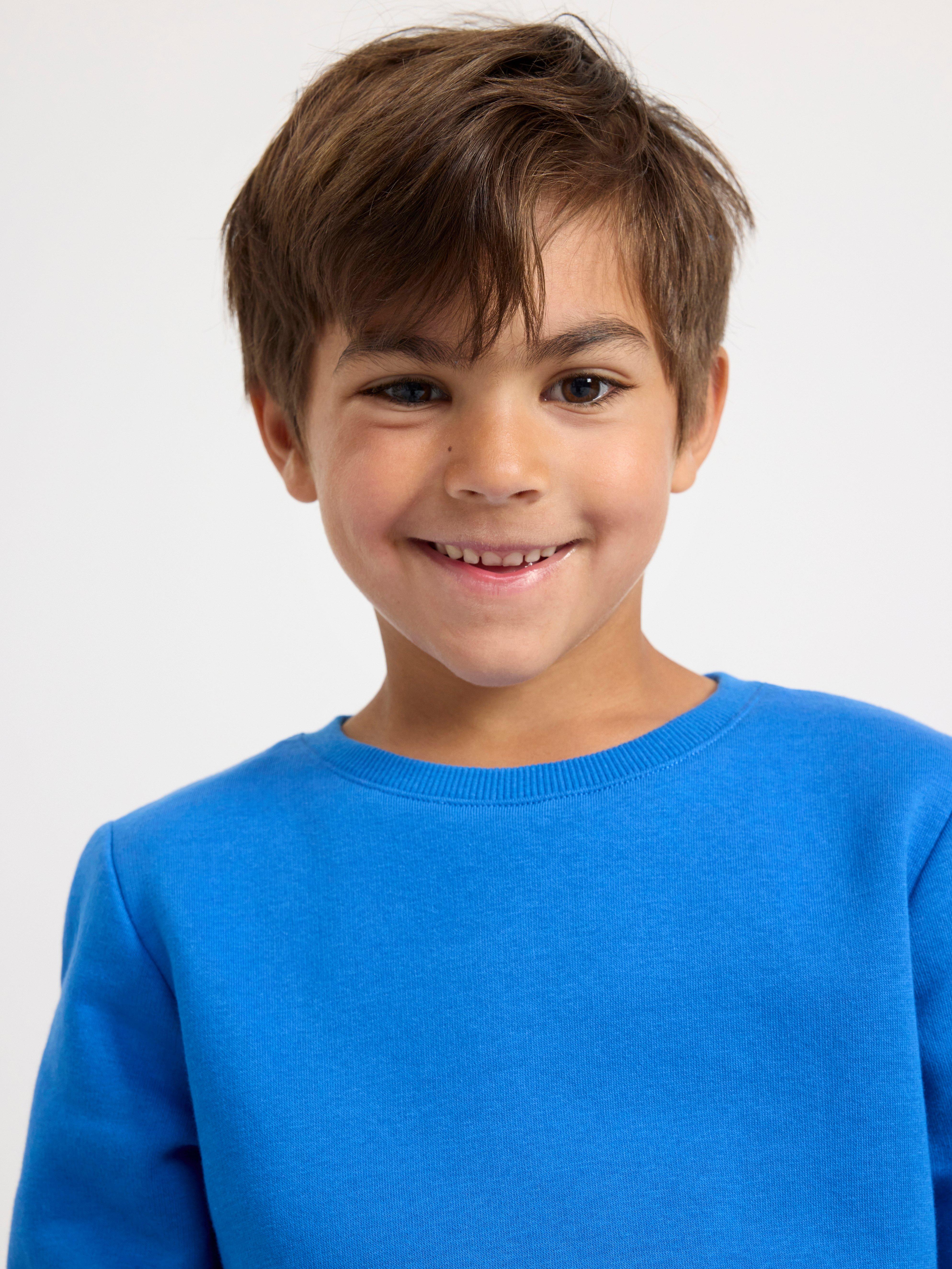 Sweatshirt with brushed inside Blue