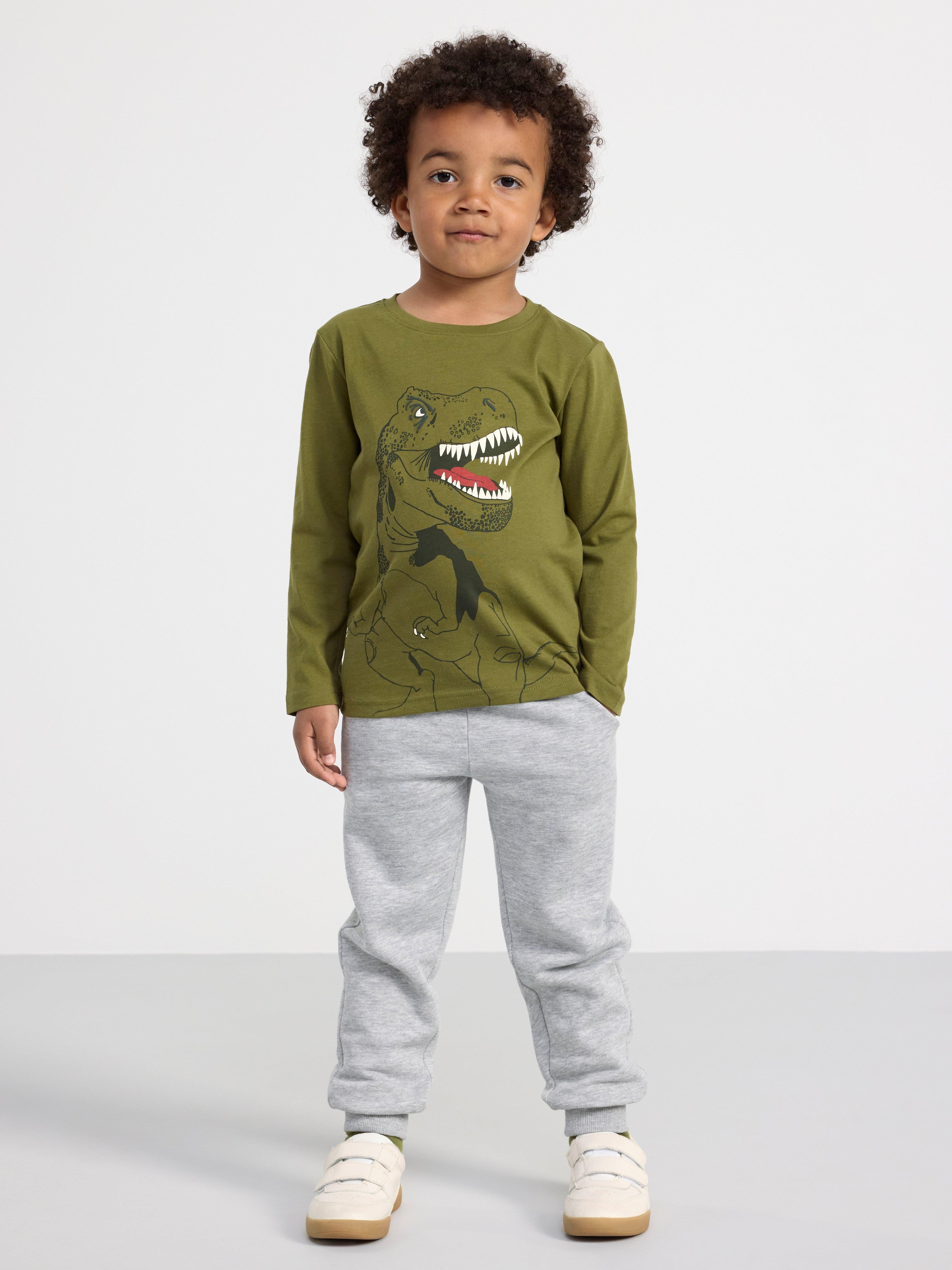 2-pack long sleeve tops with dinosaurs Dark Dusty Blue