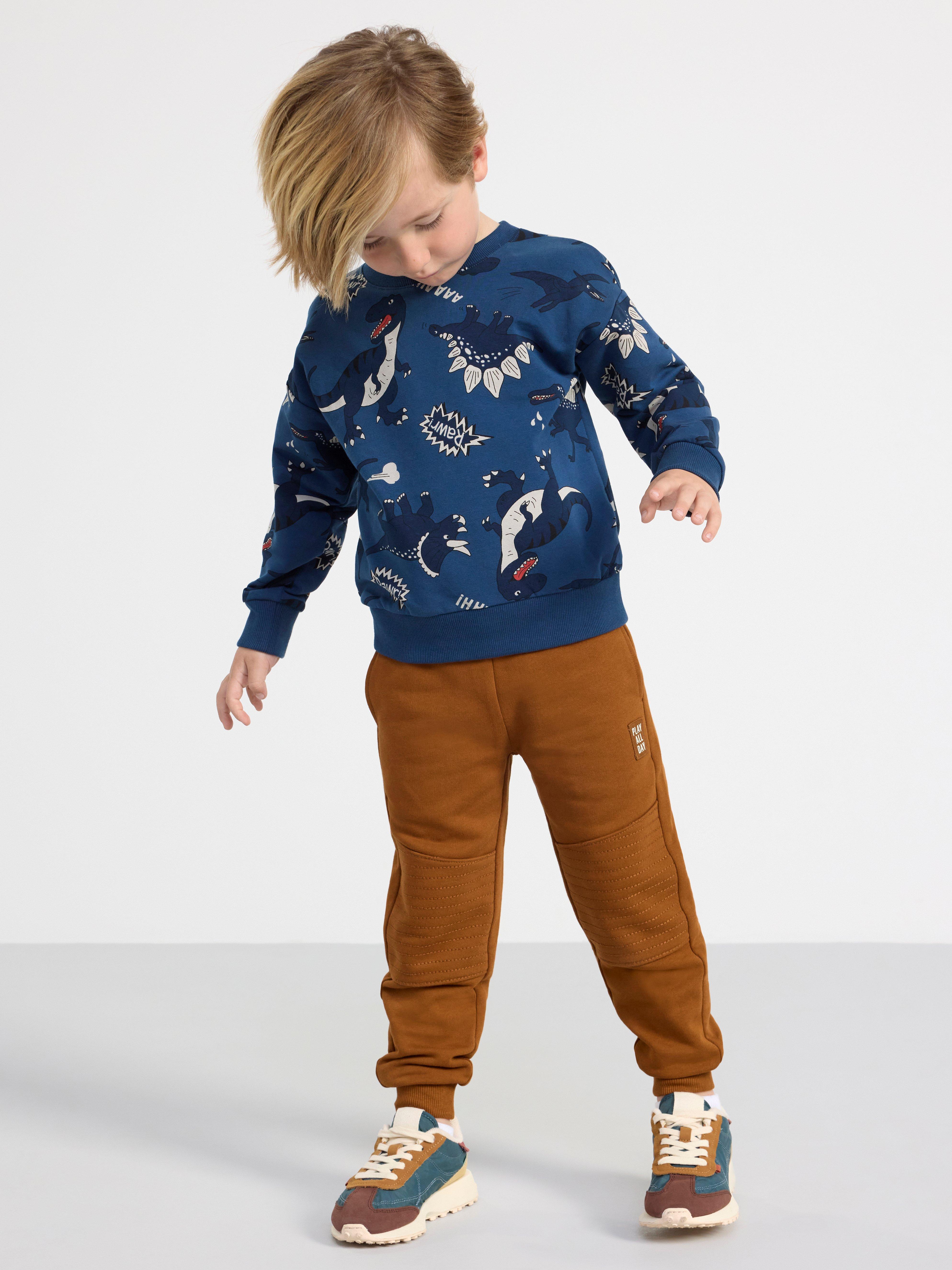 Sweatshirt with dinosaurs Dark Dusty Blue