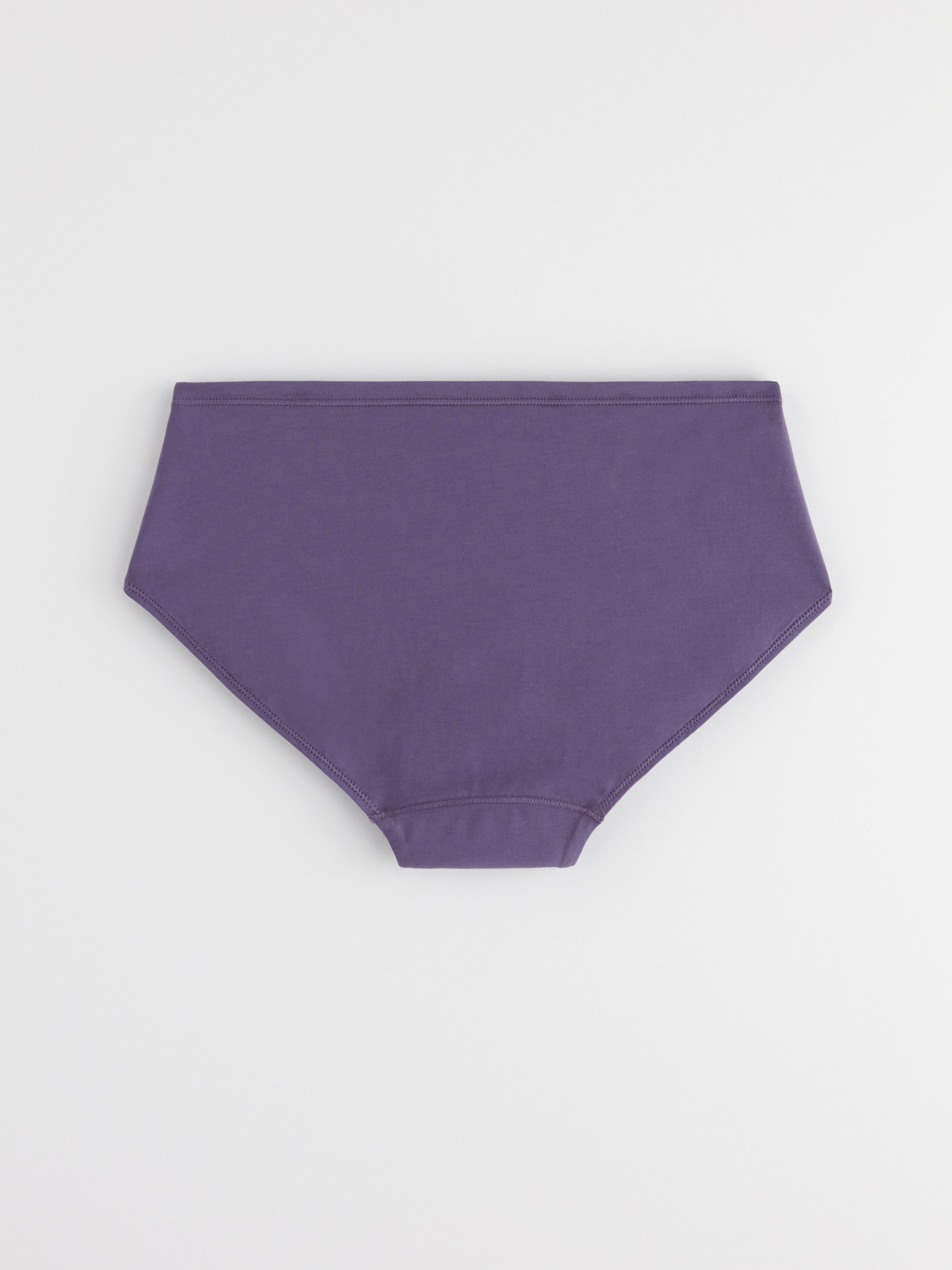 Engineered Hiphugger Period Proof – Period Panty Medium Absorbency Dark Dusty Lilac