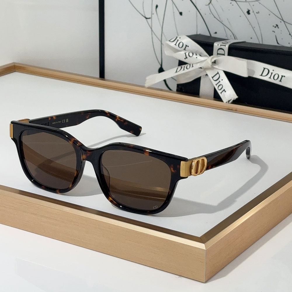 Dior Mirror leg Logo identification Acetate fibre sunglasses Top quality (Perfect Replica)