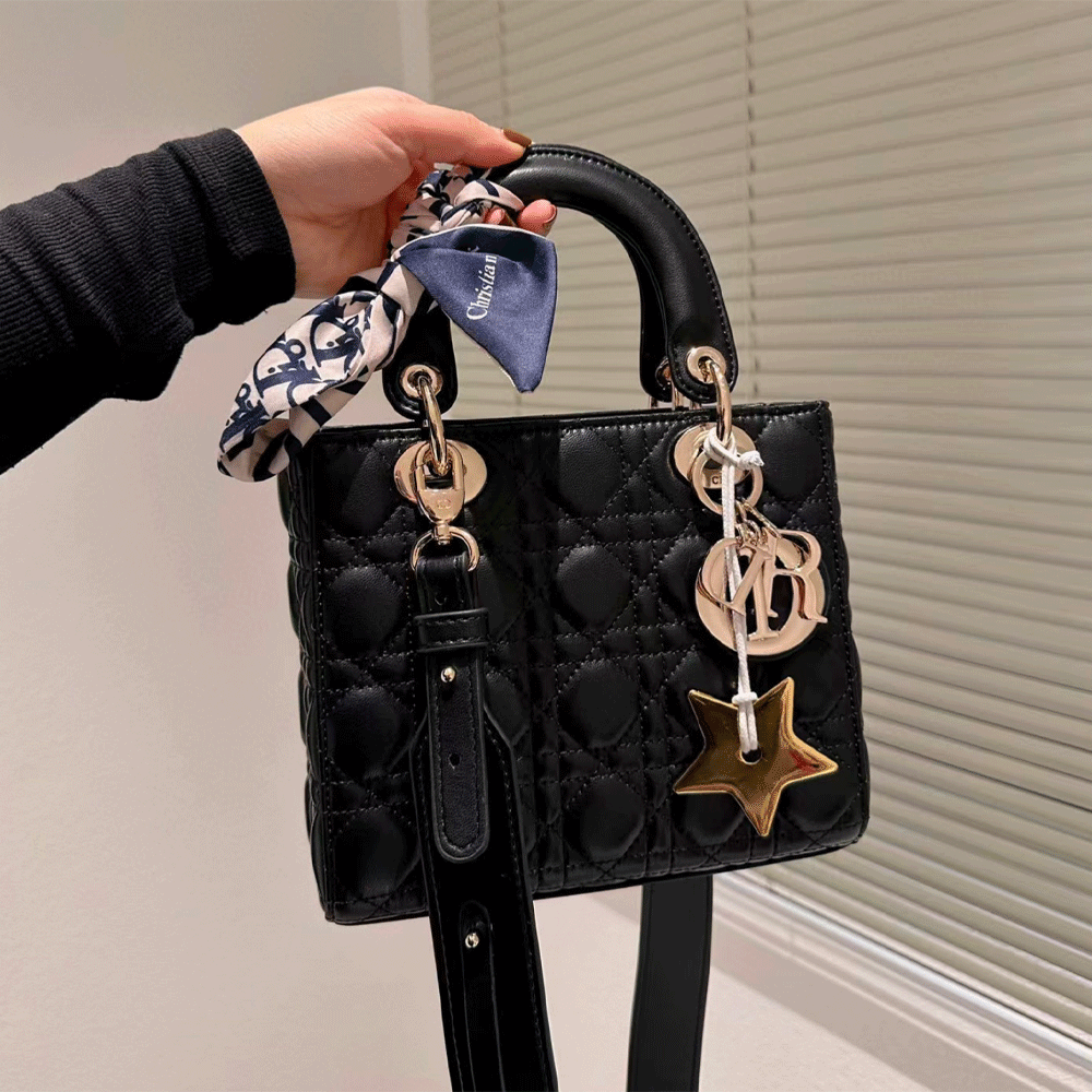 Dior Small Lady  Bag (Replica)