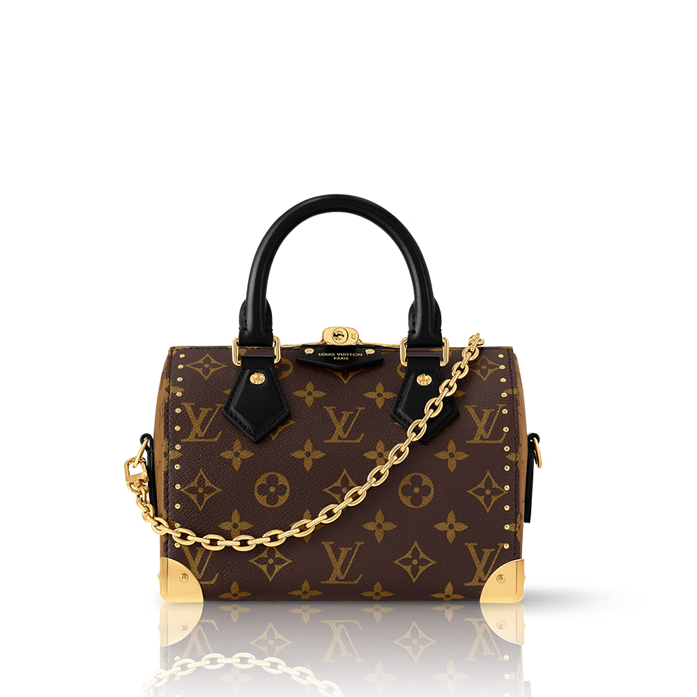 Louis Vuitton Speedy Trunk 20 Bag  (Replica)
