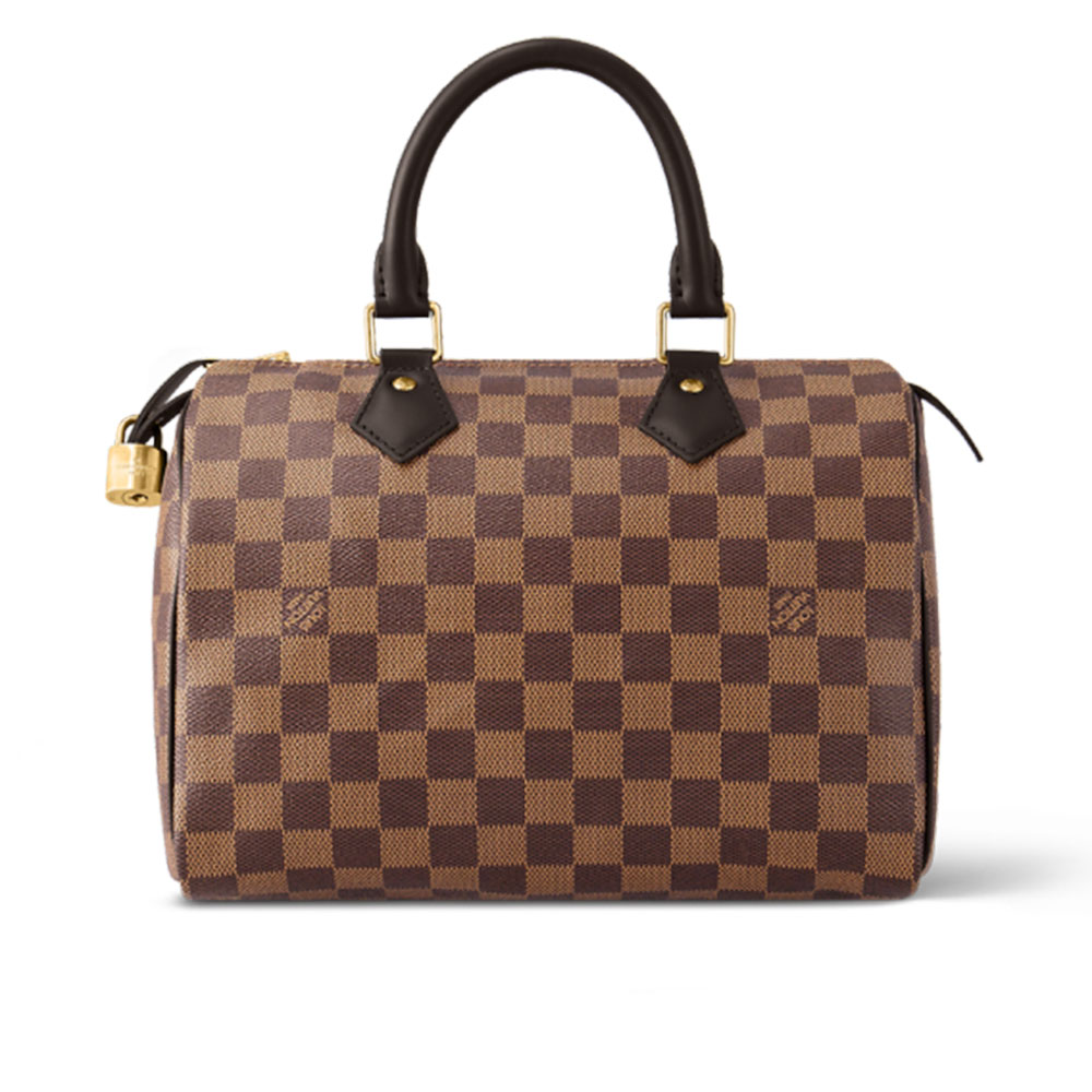LV Speedy 25 Damier Ebene Women Handbag(Replica)