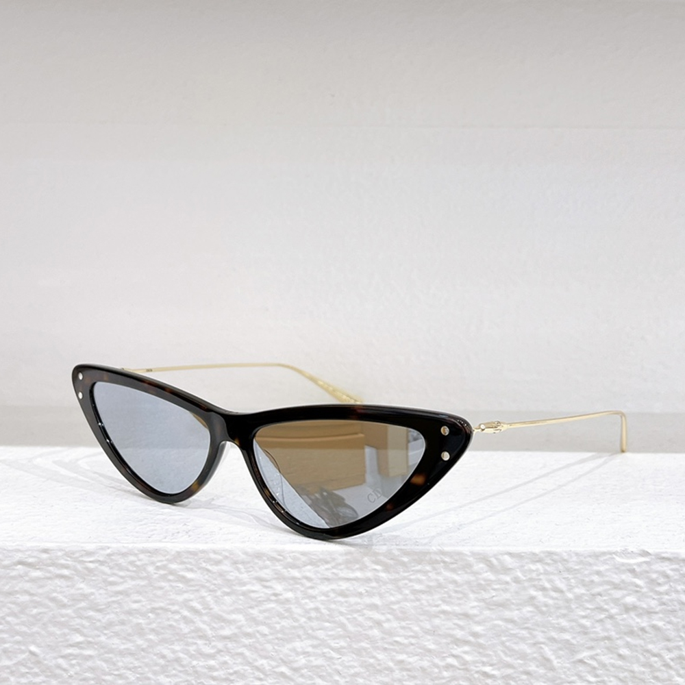 Dior Color Block Outdoor Sunglasses Top Quality (Perfect Replica)