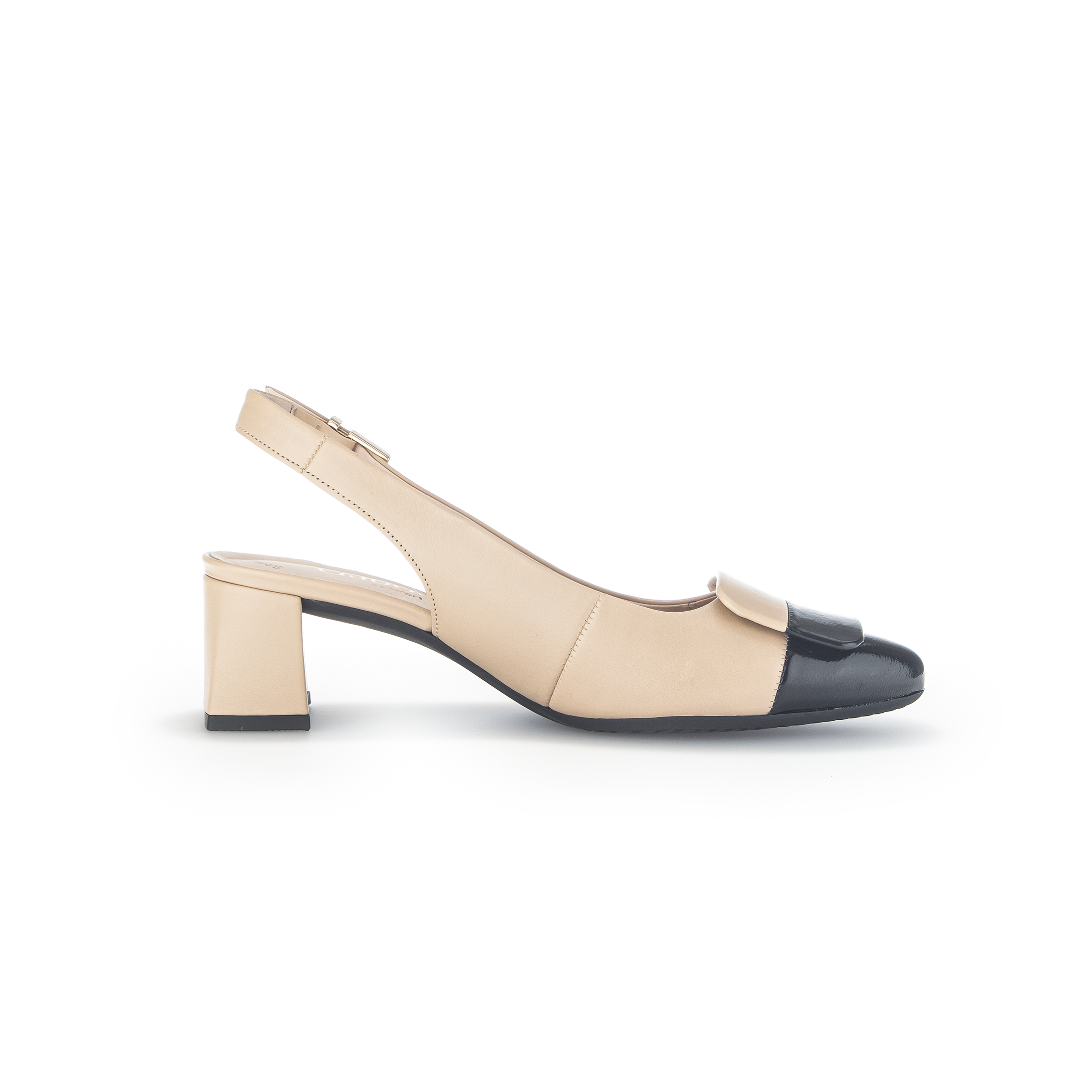 22.262 - SLINGBACK PUMP