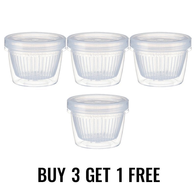 Summer Hot Sale - Food Storage Box (Buy 3 Get 1 Free)