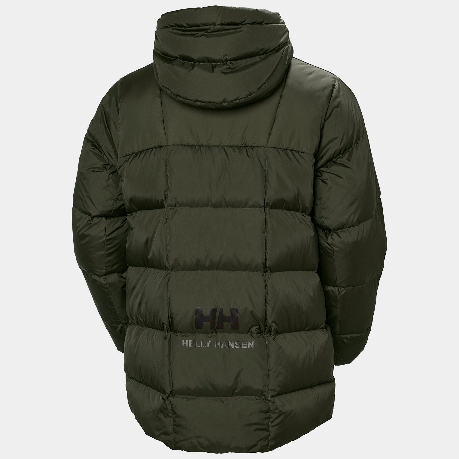 Men's Arctic Patrol Down Parka
