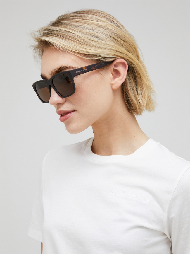 Mount Sunglasses