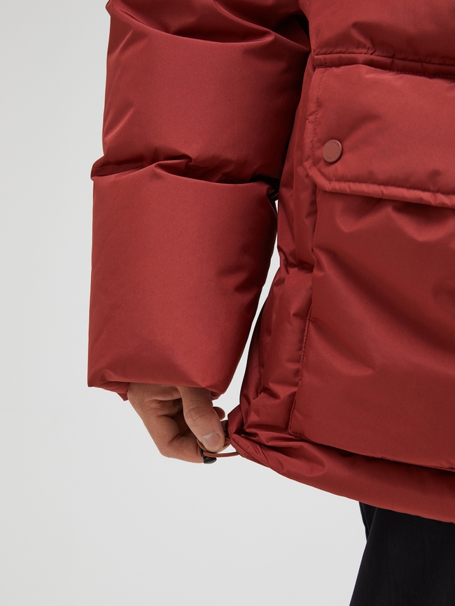 2L Down Parka Men