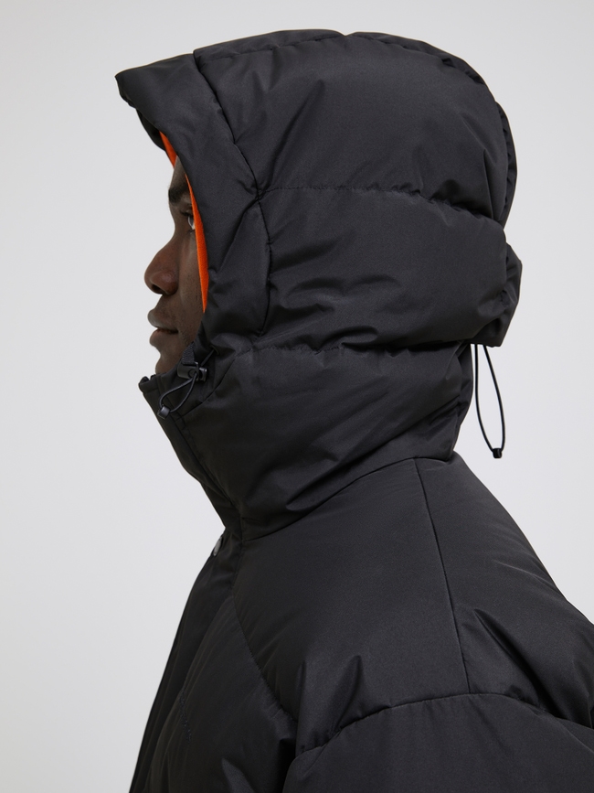2L Down Parka Men