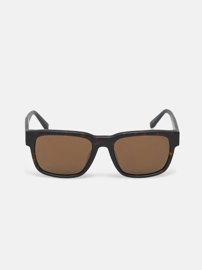 Mount Sunglasses