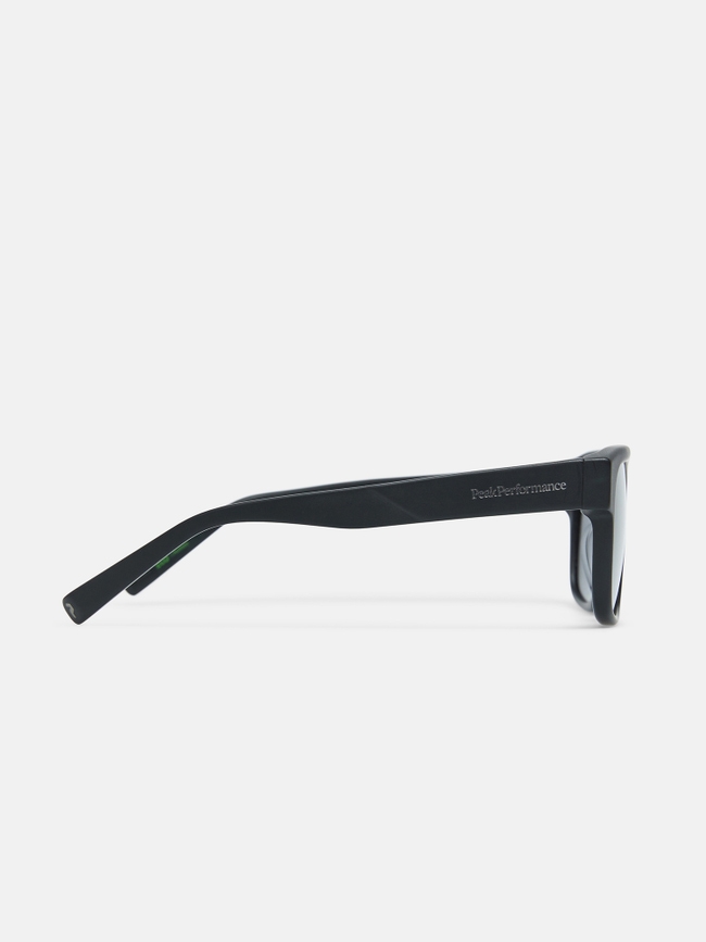 Mount Sunglasses