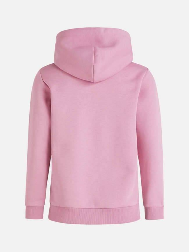 Original Small Logo Hood Women