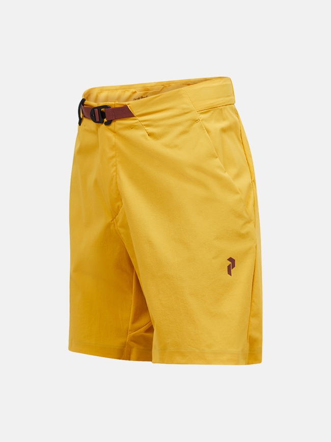 Vislight Light Shorts Men