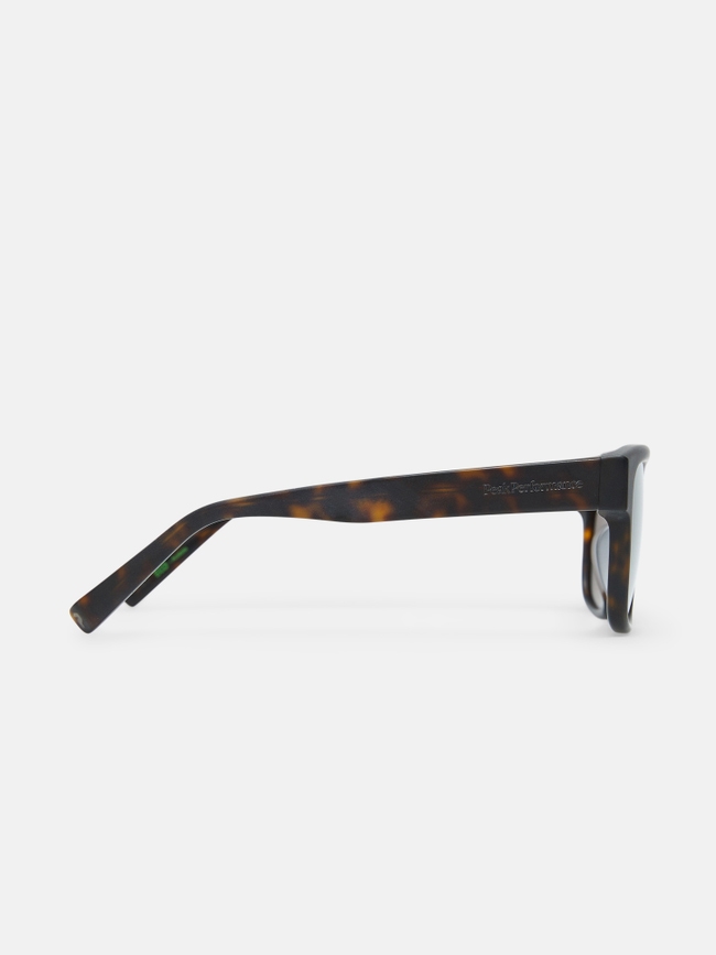 Mount Sunglasses