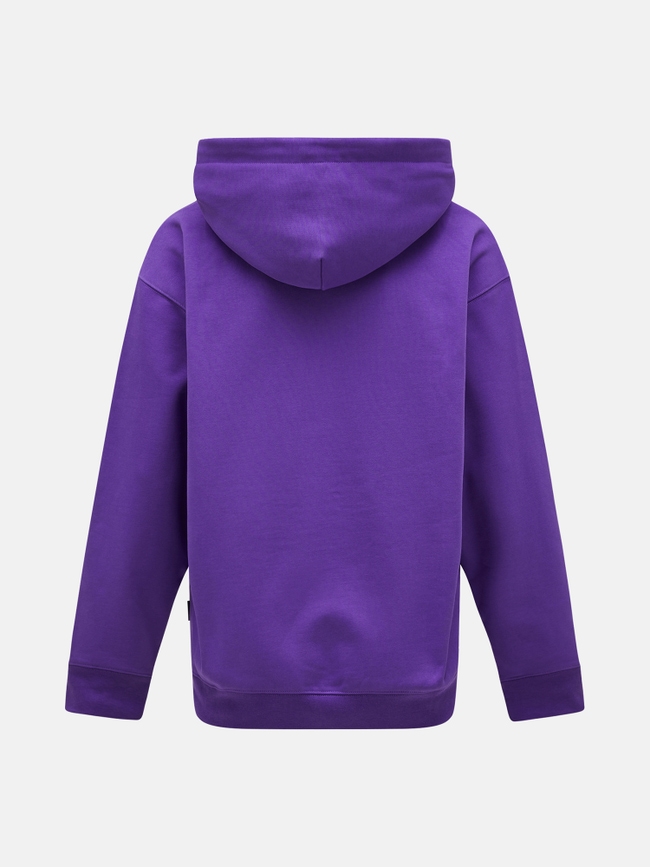 Artwork Oversized Hood