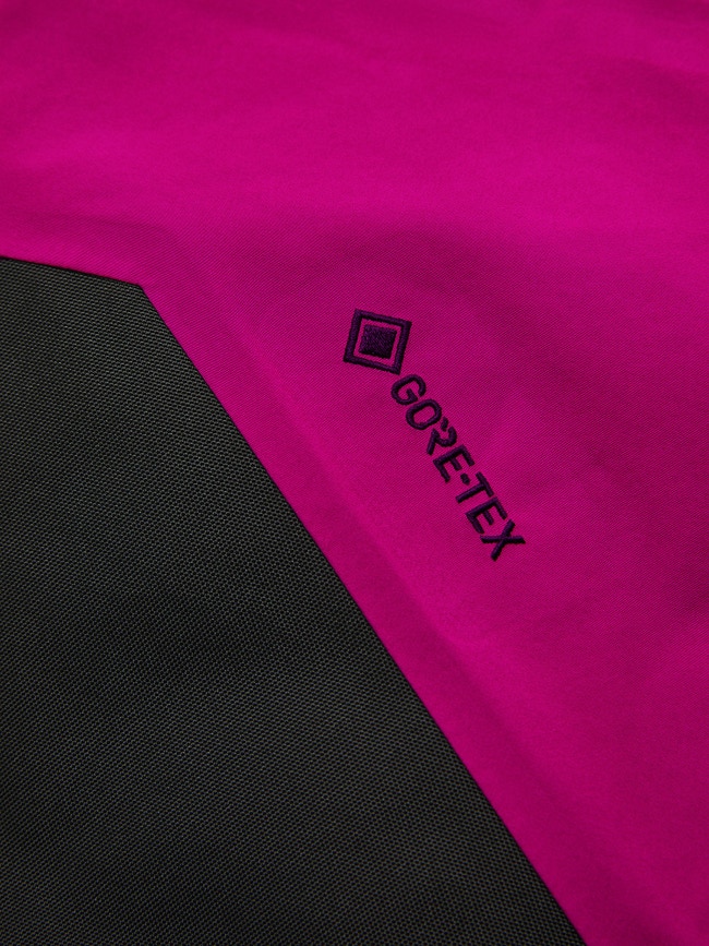 Gravity Gore-Tex 3L Pants Women