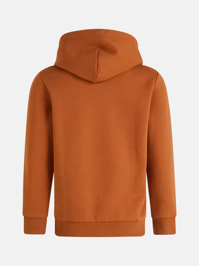 Original Small Logo Hood Women