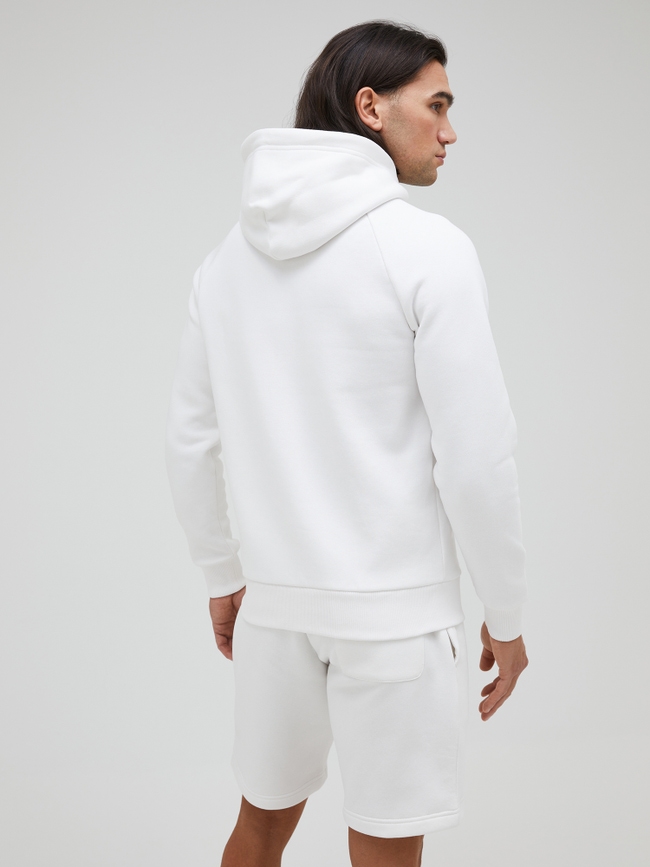 Original Small Logo Zip Hood Men