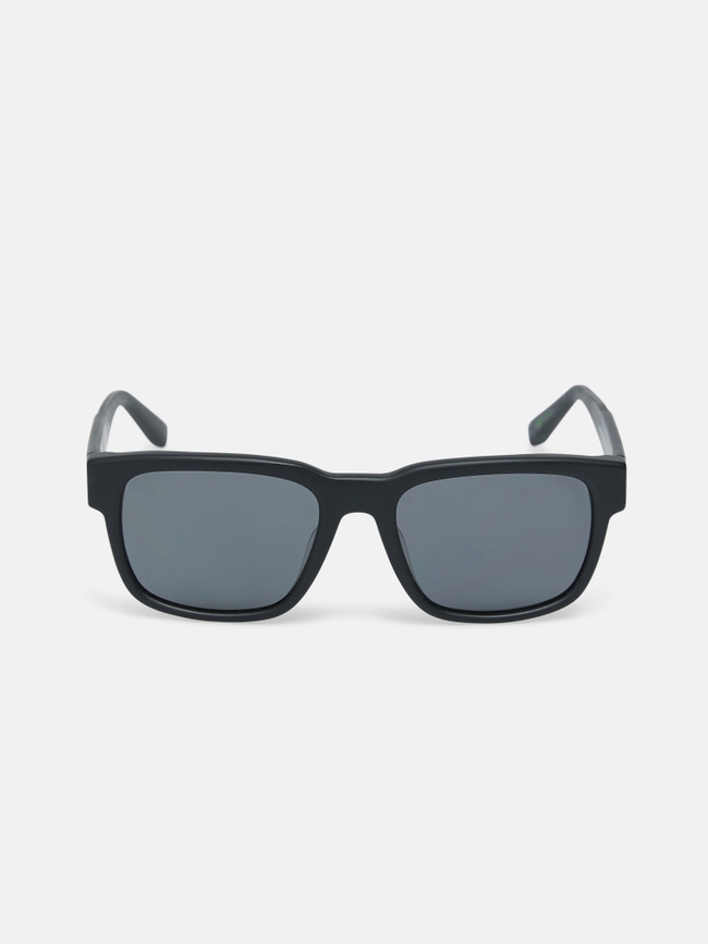 Mount Sunglasses