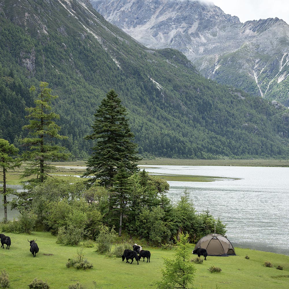 Dome X6 Pro| Freestanding Dome Hot Tent | Zpoint New Arrival 2024