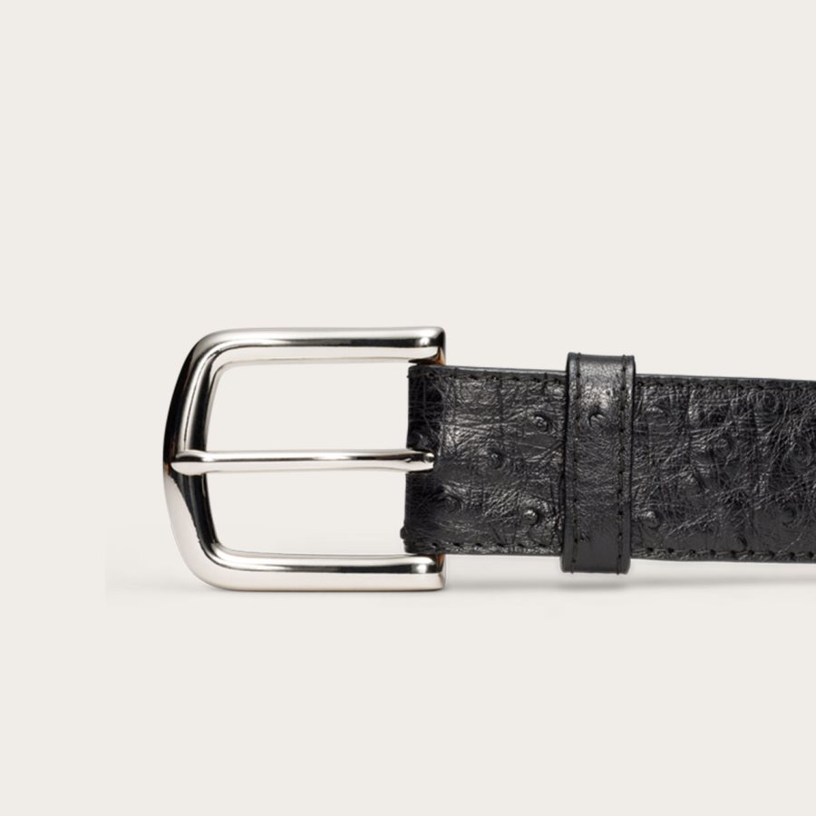 Ostrich Belt Midnight Ostrich