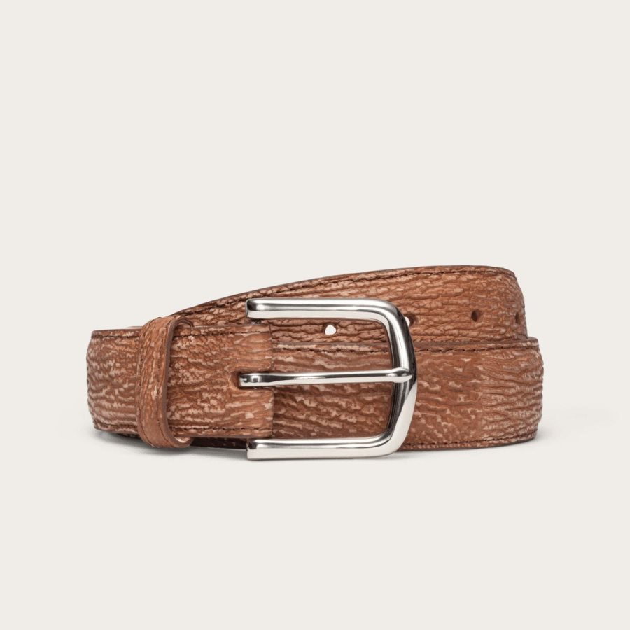 Shark Belt Sand Shark