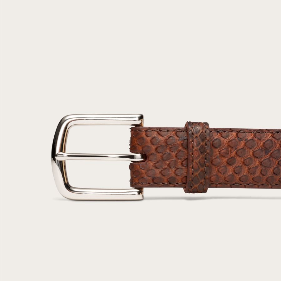 Python Belt Brick Python