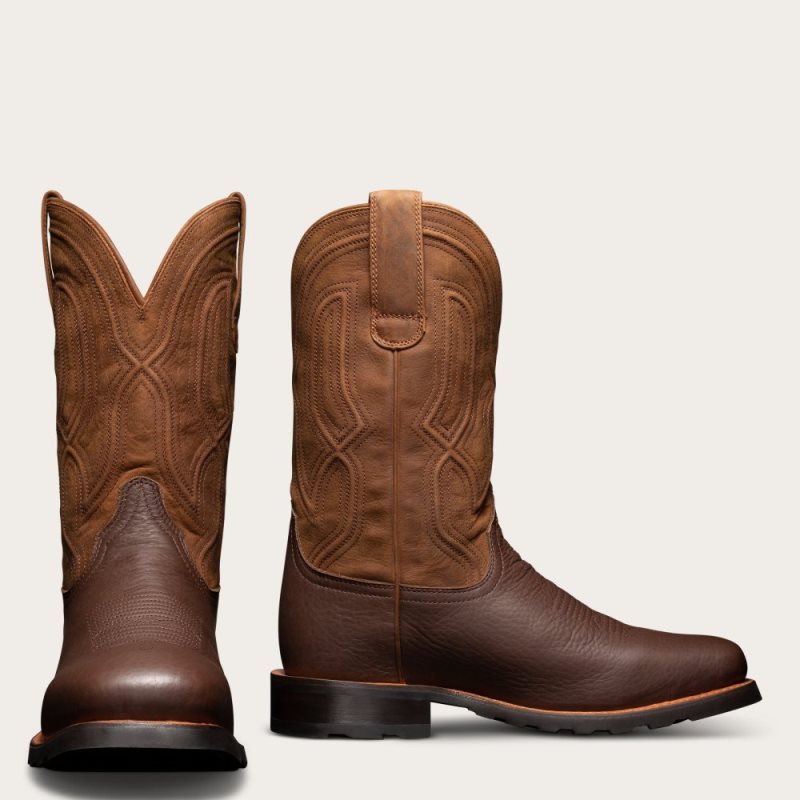 The Midland Soil Bison