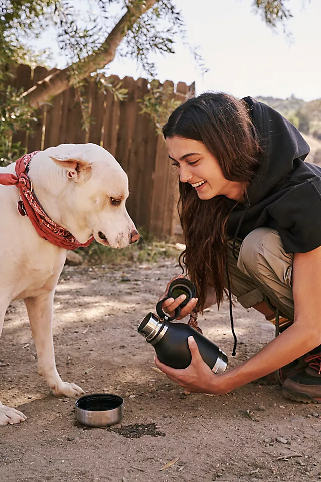 Dog Bowl Bottle Black