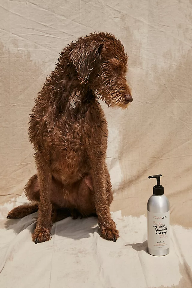 FP x Best Friends Animal Society Dog Shampoo One