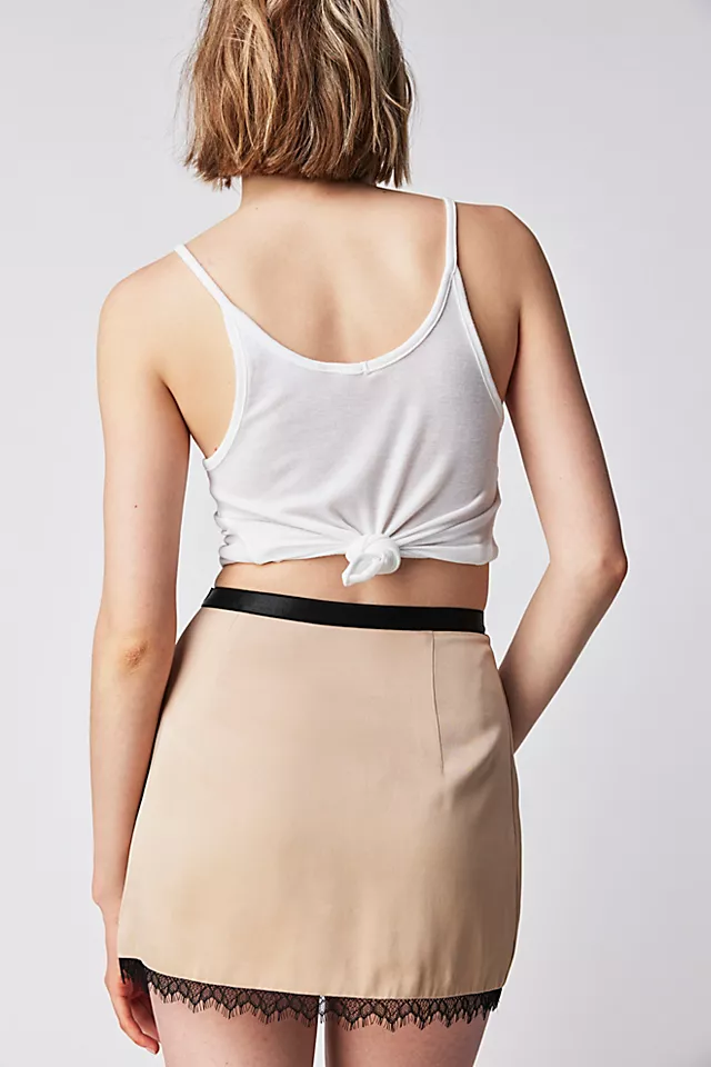 Baxter Lace Skirt Biscotti