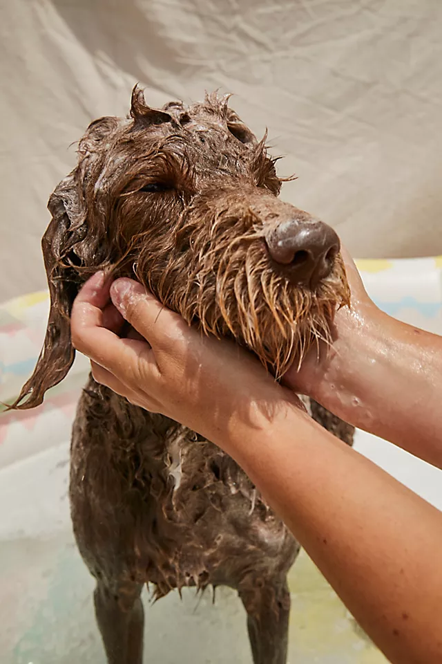 FP x Best Friends Animal Society Dog Shampoo One