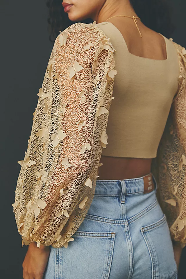 Flutter By Crop Wheat