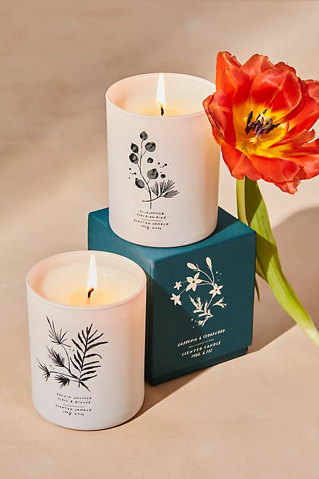 Free People French Juniper, Clove + Ginger Candle Clove + Ginger