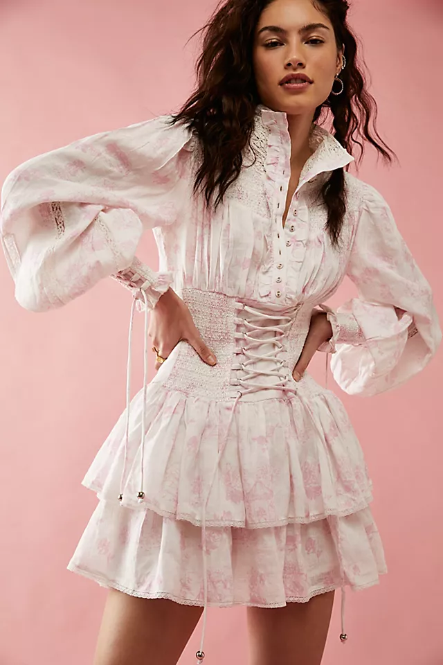 Gazebo Toile Mini Dress Rose Shadow