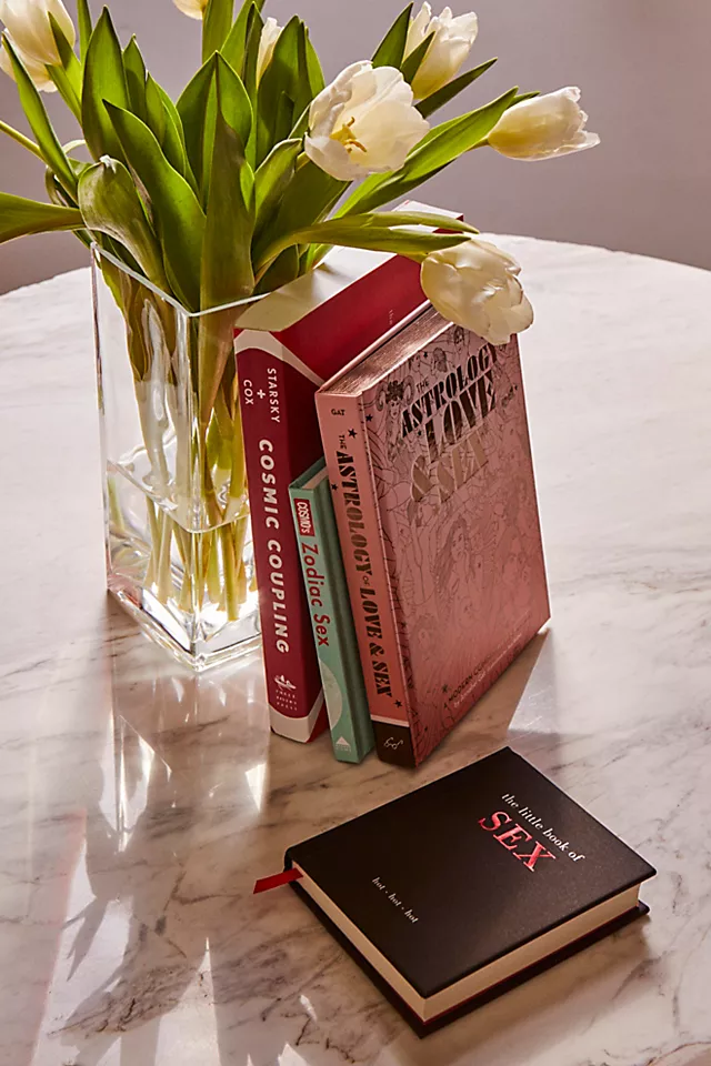 Little Book Of Sex One