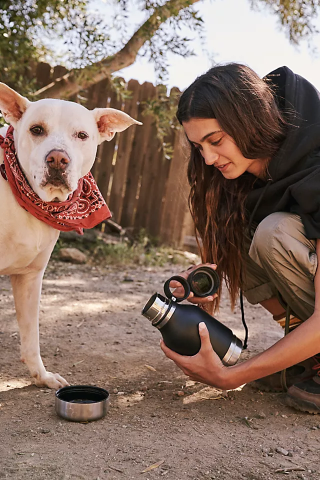 Dog Bowl Bottle Black